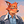 PenMeHarder_OwO - Original Poster